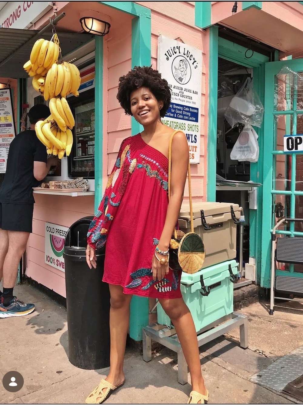 Farm Rio Silk Embroidered Mini dress